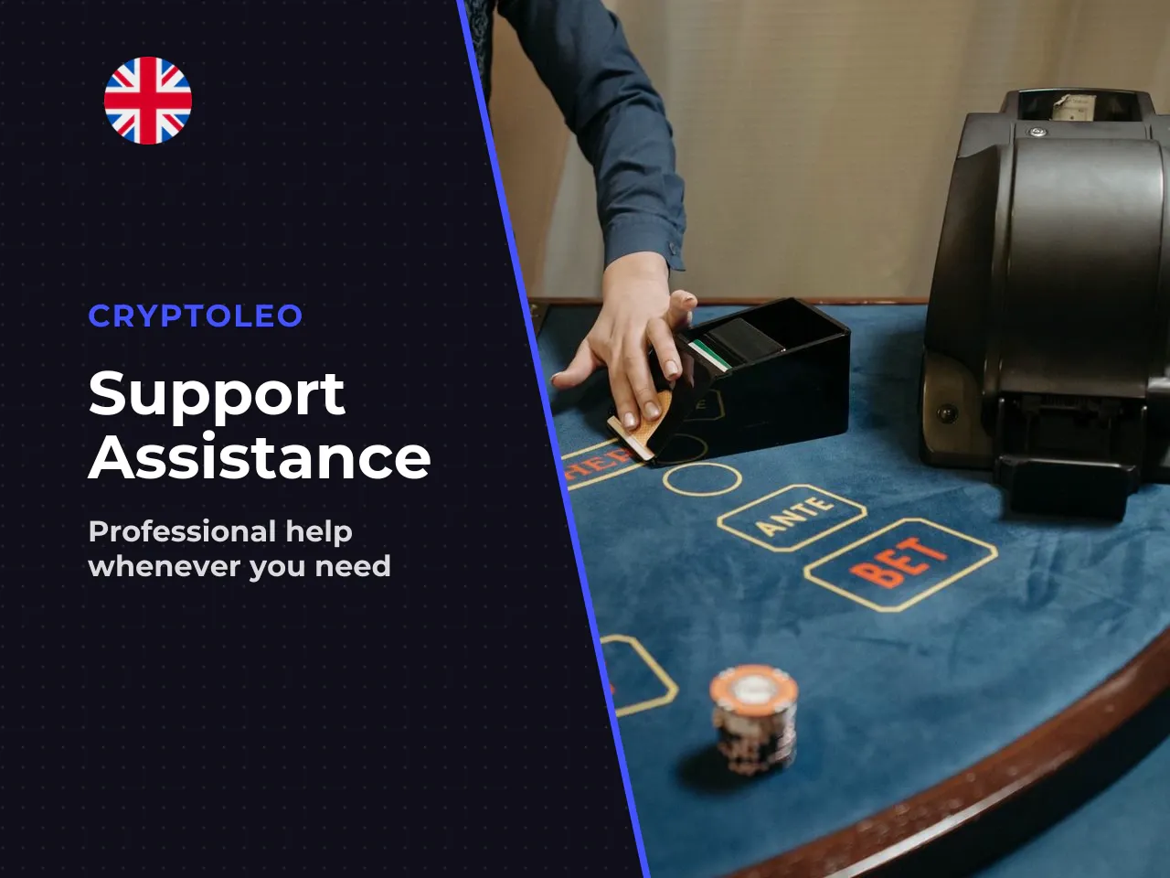 CryptoLeo Email and Reaching Out via