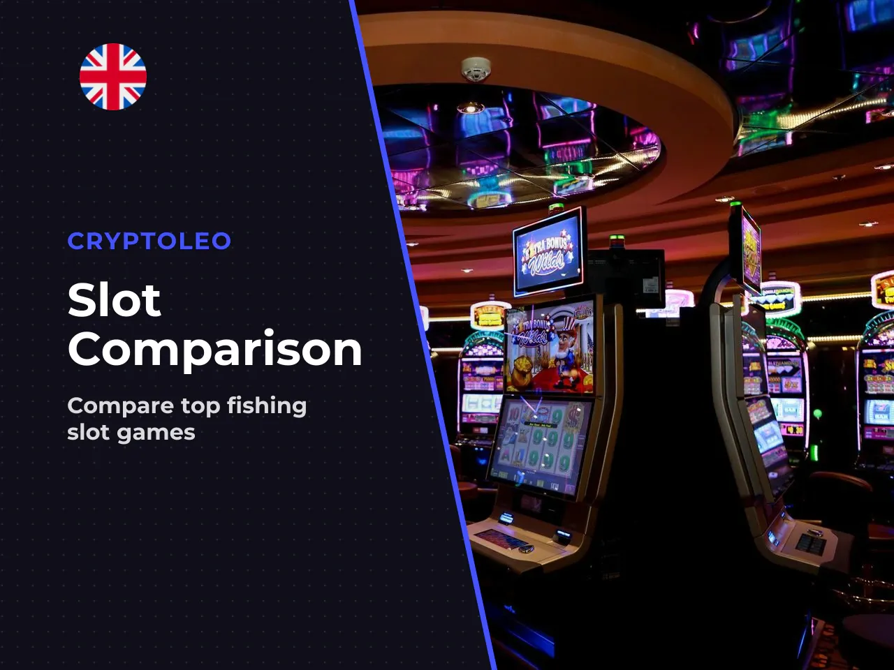 Which should you choose Splash or