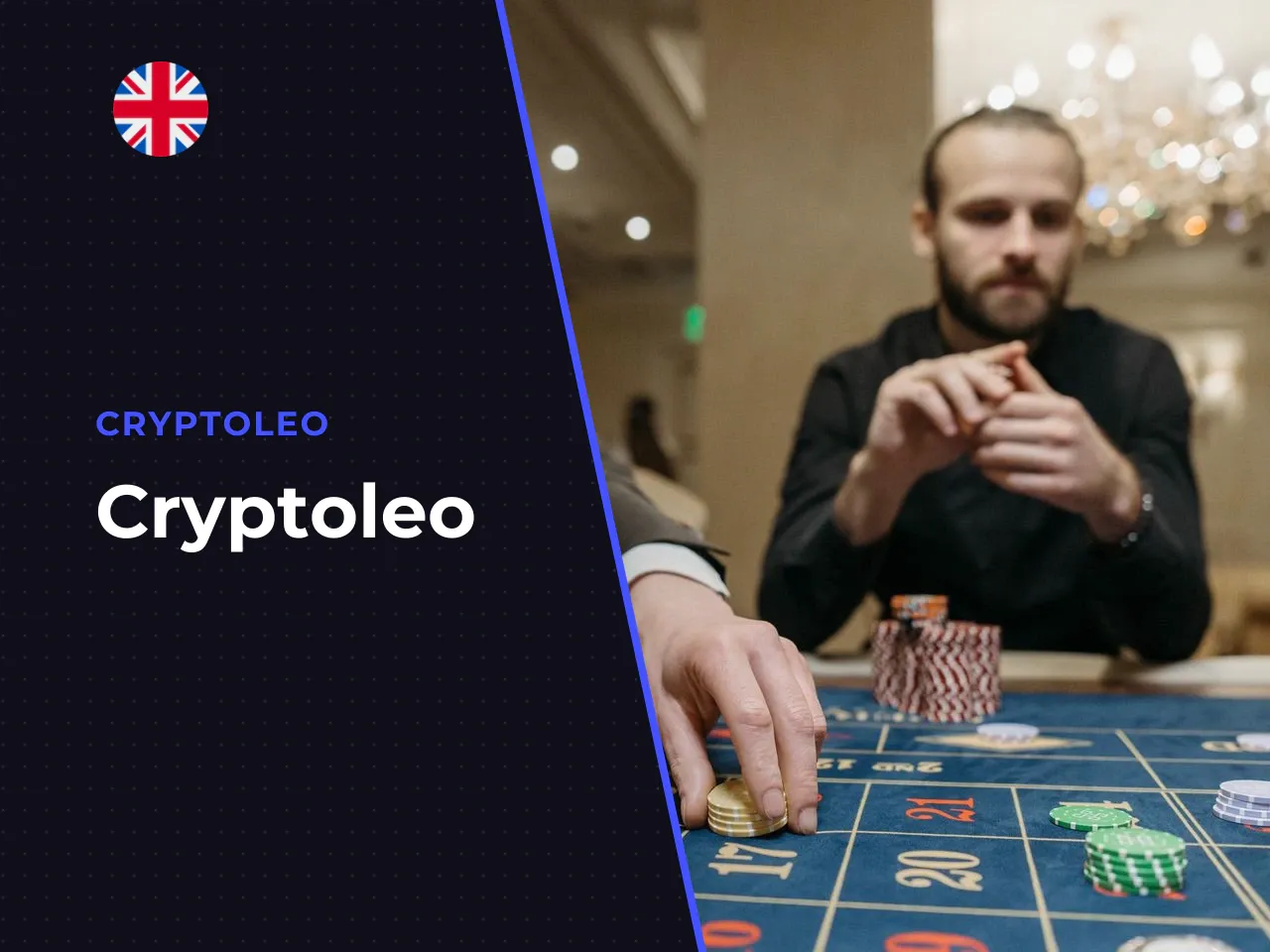 Cryptoleo heading-banner